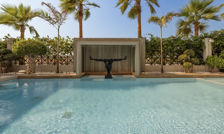 Pool & Landscape